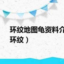 环纹地图龟资料介绍（环纹）