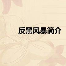 反黑风暴简介