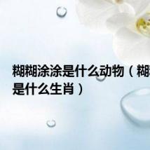 糊糊涂涂是什么动物（糊糊涂涂是什么生肖）