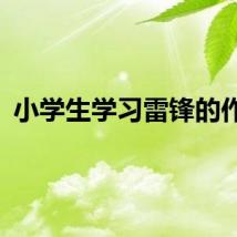 小学生学习雷锋的作文
