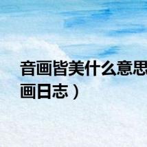 音画皆美什么意思（音画日志）