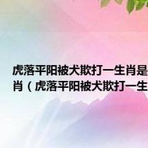 虎落平阳被犬欺打一生肖是什么生肖(虎落平阳被犬欺打一生肖)