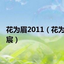 花为眉2011(花为眉 梁宸)