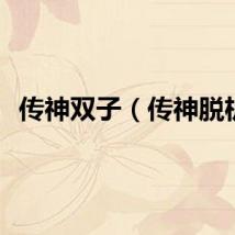 传神双子（传神脱机）