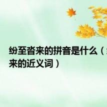 纷至沓来的拼音是什么(纷至沓来的近义词)