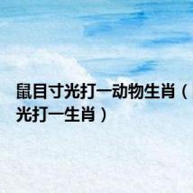 鼠目寸光打一动物生肖（鼠目寸光打一生肖）