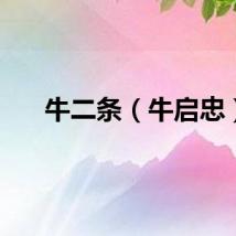 牛二条（牛启忠）