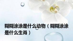 糊糊涂涂是什么动物（糊糊涂涂是什么生肖）