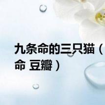 九条命的三只猫（九条命 豆瓣）