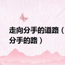 走向分手的道路（走向分手的路）