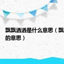 飘飘洒洒是什么意思（飘飘洒洒的意思）