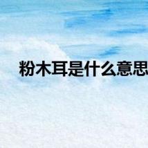 粉木耳是什么意思？