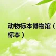 动物标本博物馆（动物标本）