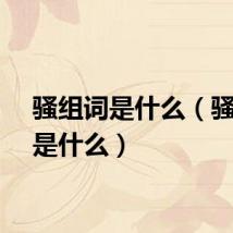 骚组词是什么（骚组词是什么）