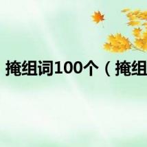 掩组词100个（掩组词）