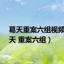 葛天重案六组视频（葛天 重案六组）