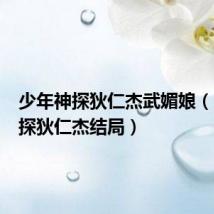 少年神探狄仁杰武媚娘（少年神探狄仁杰结局）