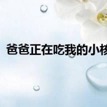 爸爸正在吃我的小核桃