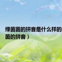 绿茵茵的拼音是什么样的（绿茵茵的拼音）