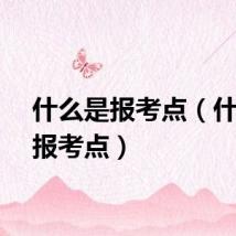 什么是报考点（什么是报考点）