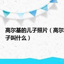高尔基的儿子照片（高尔基的儿子叫什么）