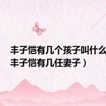 丰子恺有几个孩子叫什么名字（丰子恺有几任妻子）