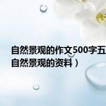 自然景观的作文500字五年级（自然景观的资料）
