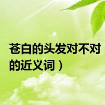 苍白的头发对不对（苍白的近义词）
