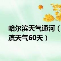 哈尔滨天气通河（哈尔滨天气60天）
