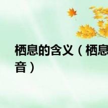 栖息的含义（栖息的拼音）