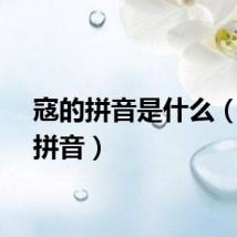 寇的拼音是什么（寇的拼音）