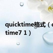 quicktime格式(quicktime7 1)
