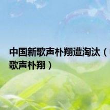 中国新歌声朴翔遭淘汰（中国新歌声朴翔）