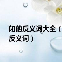 闭的反义词大全（闭的反义词）