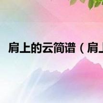 肩上的云简谱（肩上）