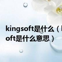 kingsoft是什么(kingsoft是什么意思)