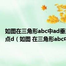 如图在三角形abc中ad垂直bc于点d（如图 在三角形abc中）