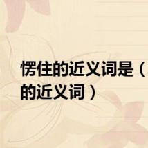 愣住的近义词是（愣住的近义词）