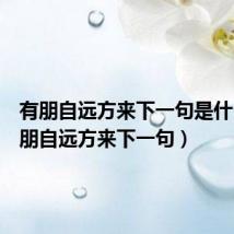 有朋自远方来下一句是什么（有朋自远方来下一句）