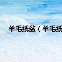 羊毛纸盆（羊毛纸）