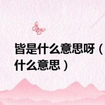皆是什么意思呀（皆是什么意思）