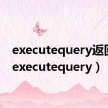 executequery返回值（executequery）