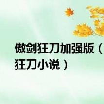 傲剑狂刀加强版（傲剑狂刀小说）