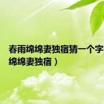春雨绵绵妻独宿猜一个字(春雨绵绵妻独宿)