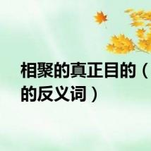 相聚的真正目的（相聚的反义词）