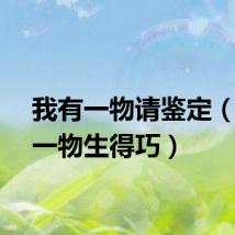 我有一物请鉴定（我有一物生得巧）