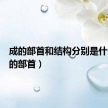 成的部首和结构分别是什么（成的部首）