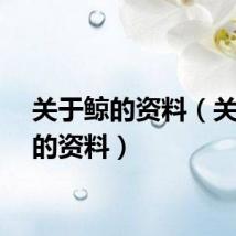 关于鲸的资料（关于鲸的资料）