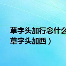 草字头加行念什么字（草字头加西）