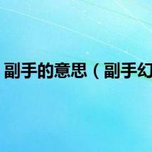 副手的意思（副手幻化）